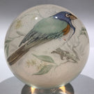 Huge Vintage Murano Art Glass Paperweight Detailed Encased Image of a Blue Bird