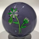 Vintage Perthshire Lampworked Flower Art Glass Paperweight LE 1974B