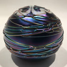 Terry Crider Art Glass Paperweight Iridescent Surface Decorated Threading