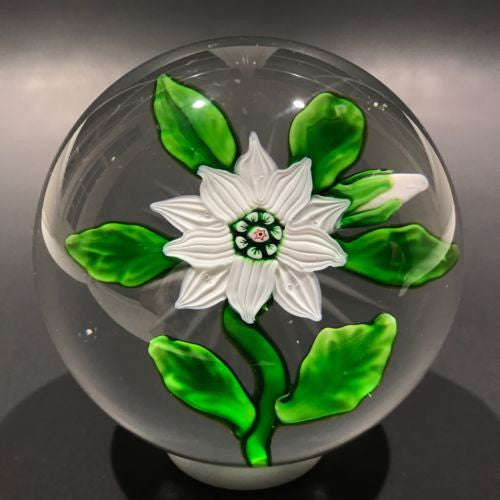 Antique Baccarat Art Glass Paperweight Lampworked White Double Clematis