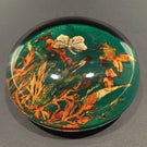 Unusual Antique English Art Glass Paperweight Real Plants Half Dome