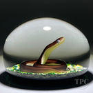 Baccarat 1979 LE Glass Art Paperweight Flamework Snake on Mottled Moss Ground