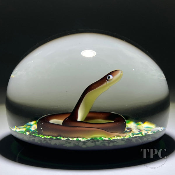 Baccarat 1979 LE Glass Art Paperweight Flamework Snake on Mottled Moss