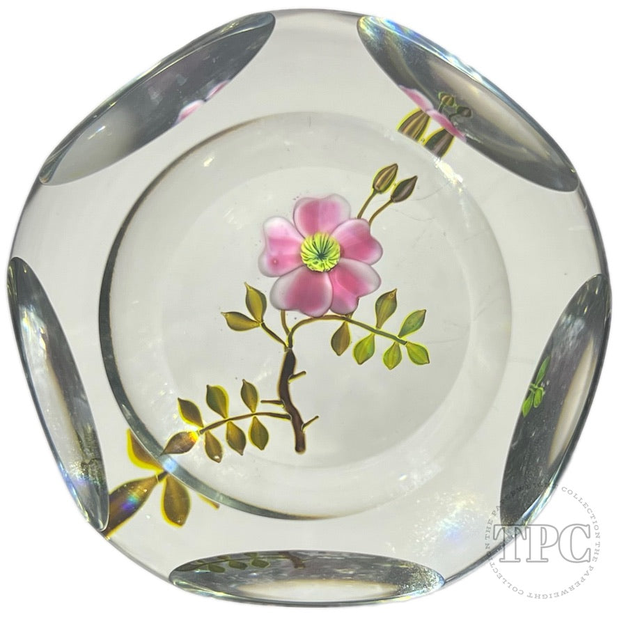 Paul Stankard 1977 LE Faceted Glass Art Paperweight Flamework Pink Wild Rose