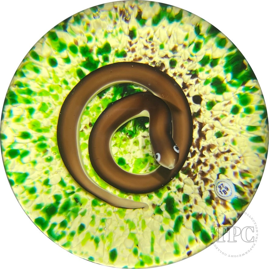 Baccarat 1979 LE Glass Art Paperweight Flamework Snake on Mottled Moss Ground