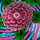 John Deacons Glass Art Paperweight Flamework Pink Pompom Flower on Pink & Blue Swirl