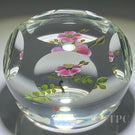 Paul Stankard 1977 LE Faceted Glass Art Paperweight Flamework Pink Wild Rose