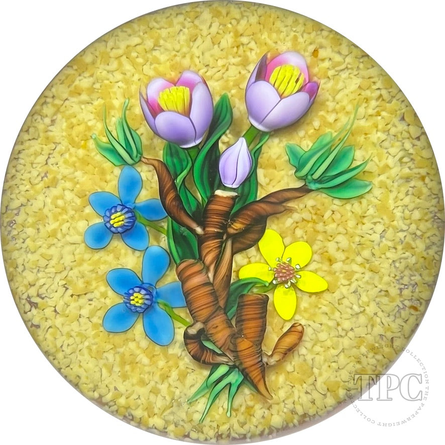 Signed Ken Rosenfeld 1992 Glass Art Paperweight Flamework Java Ginseng Bouquet on Sand Ground