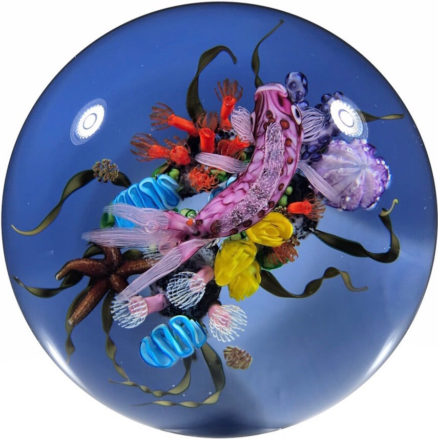 Signed Ken Rosenfeld Art Glass Paperweight 2018 Lampwork Tropical Fish & Coral Reef