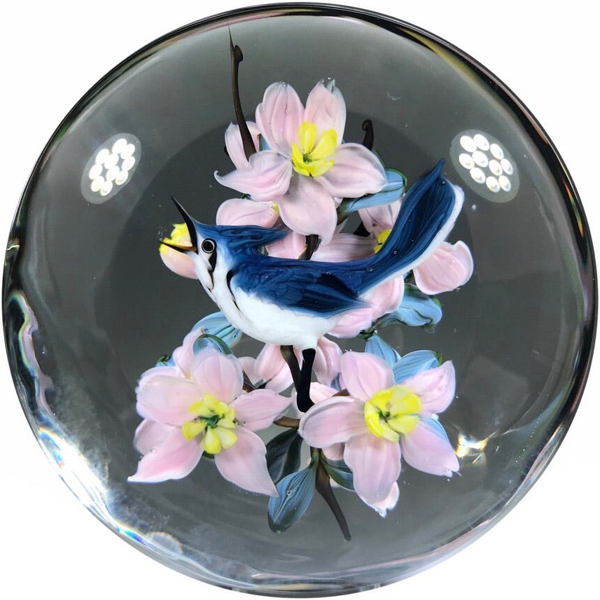 Limited Edition Rick Ayotte Art Glass Paperweight Lampwork Magpie Jay & Azalea