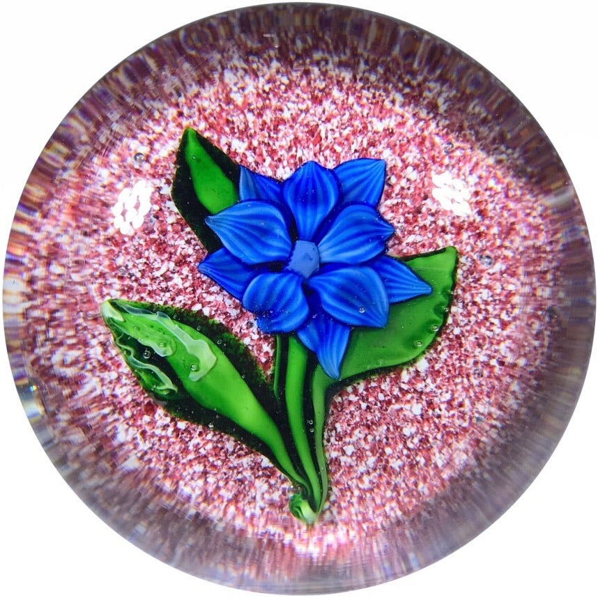 Rare Antique Saint Louis Art Glass Paperweight Lampwork Clematis on Red Jasper Ground