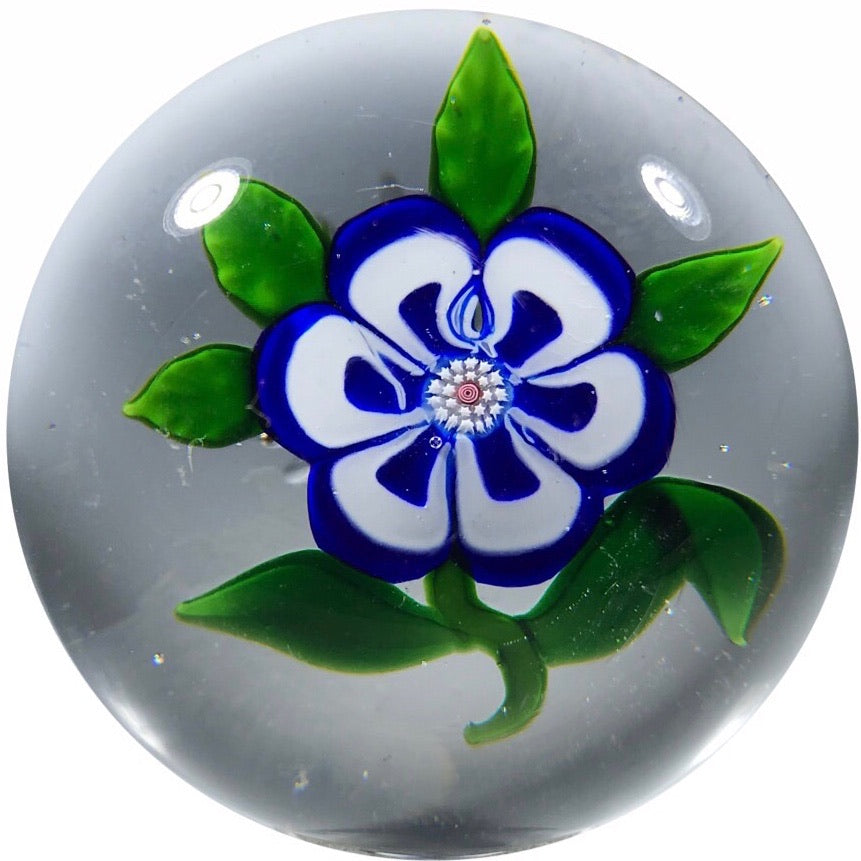 Antique Baccarat Art Glass Paperweight Lampwork Blue & White Primrose