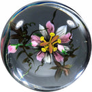 One of One Rick Ayotte Art Glass Paperweight Lampwork Passion Flower