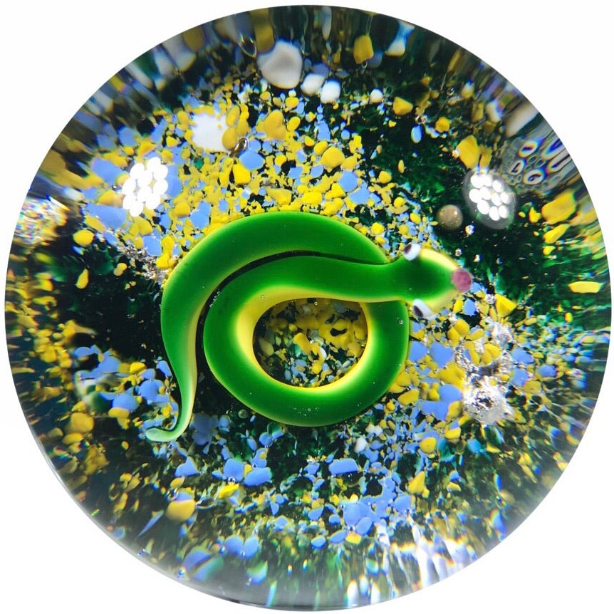 Baccarat 1971 Art Glass Paperweight Lampwork Green & Yellow Snake on Mottled Ground