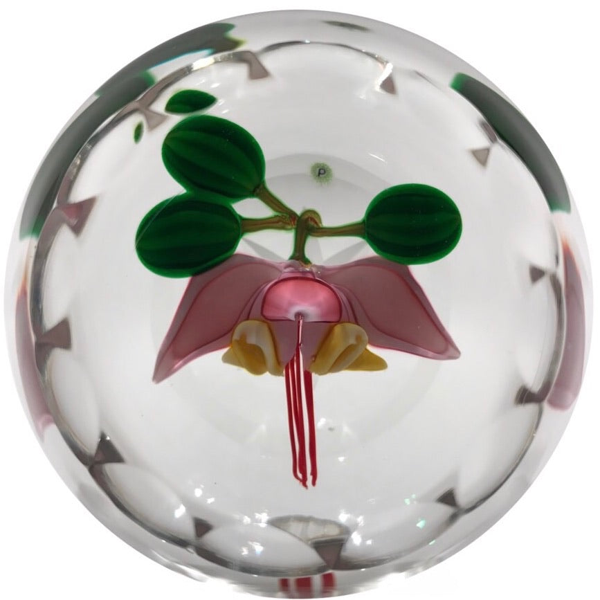 Perthshire Faceted Art Glass Paperweight Lampwork Cacao Flower 1987C LE of 172