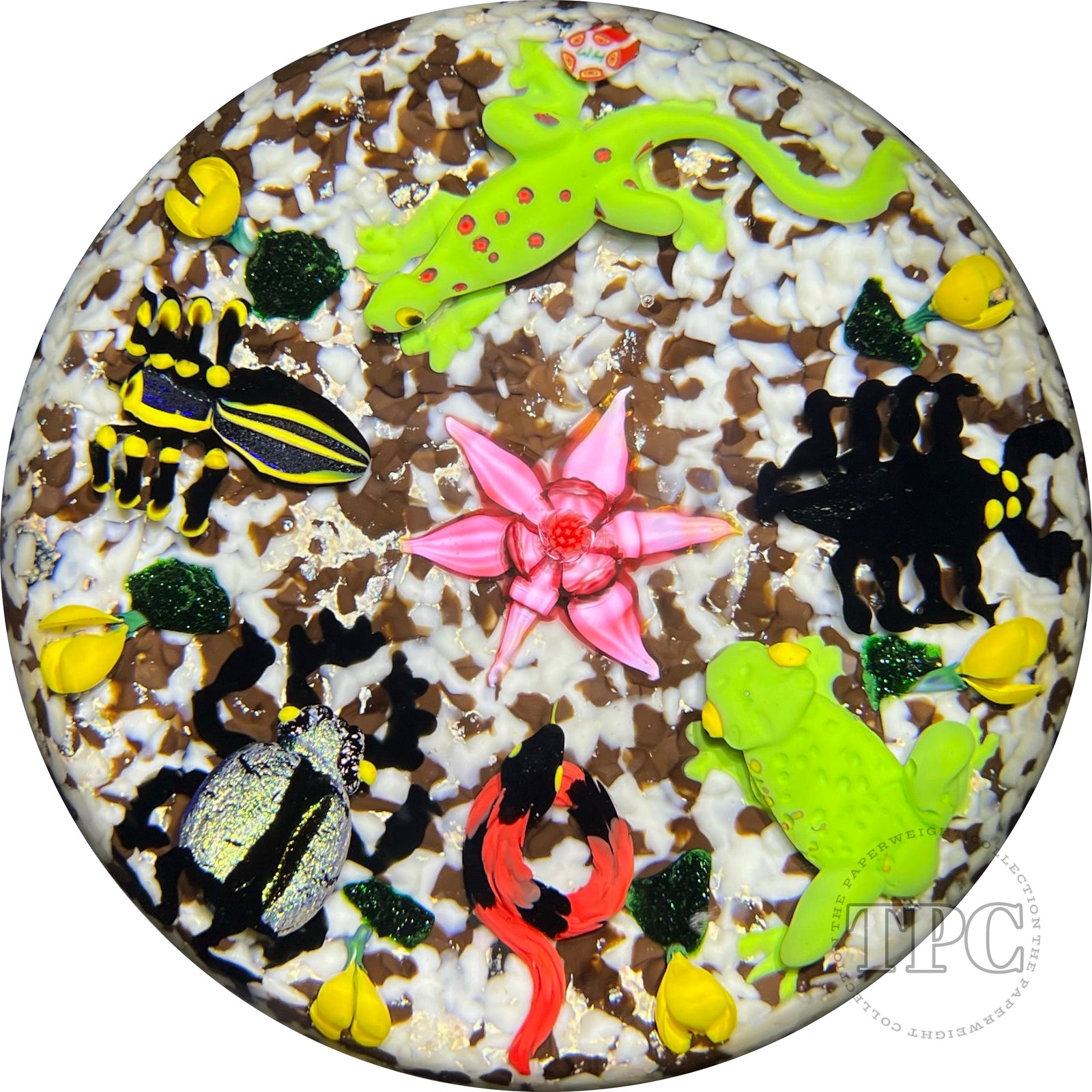 Super Magnum Mickael Hingant Glass Art Paperweight Flamework Six Critter Composition on Mottled Dirt Ground