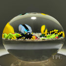 Super Magnum Mickael Hingant Glass Art Paperweight Flamework Six Critter Composition on Mottled Dirt Ground