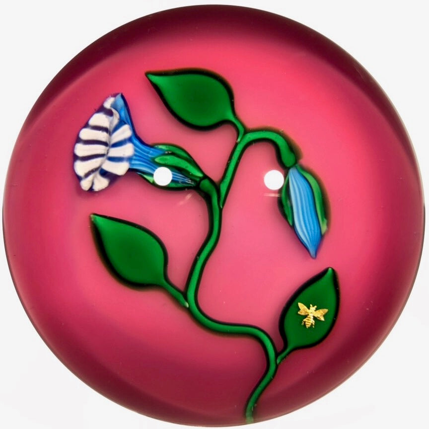 Charles Kaziun Jr. Art Glass Paperweight Lampwork Morning Glories on Pink Ground