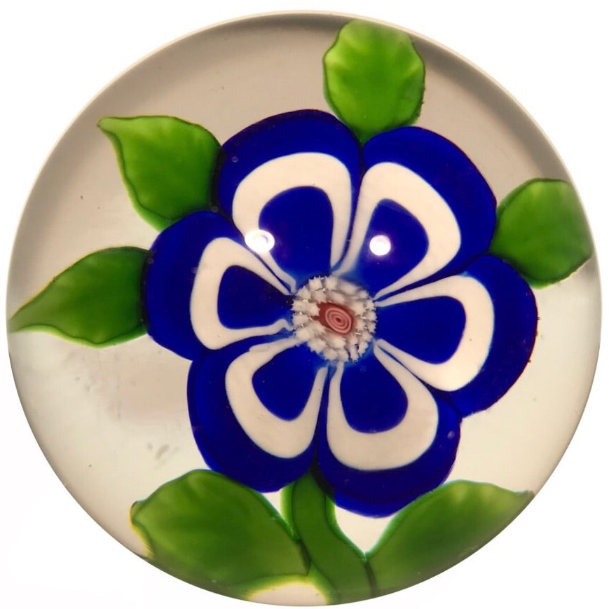 Miniature Baccarat Art Glass paperweight Lampwork Blue & White Primrose