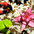 Super Magnum Mickael Hingant Glass Art Paperweight Flamework Six Critter Composition on Mottled Dirt Ground