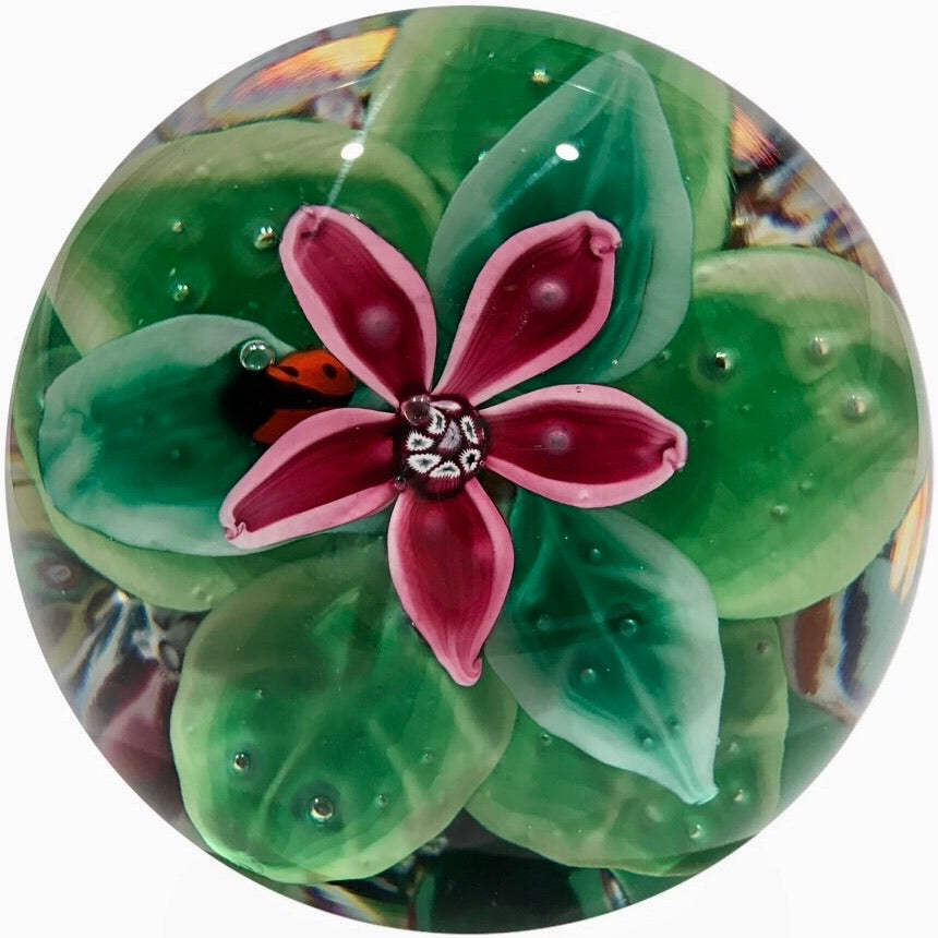 Signed Jack Allen Perthshire Art Glass Paperweight Upright Flower w/ Ladybug