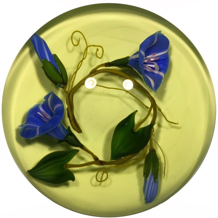 Signed Paul Stankard Art Glass Paperweight Lampwork Morning Glories on Green