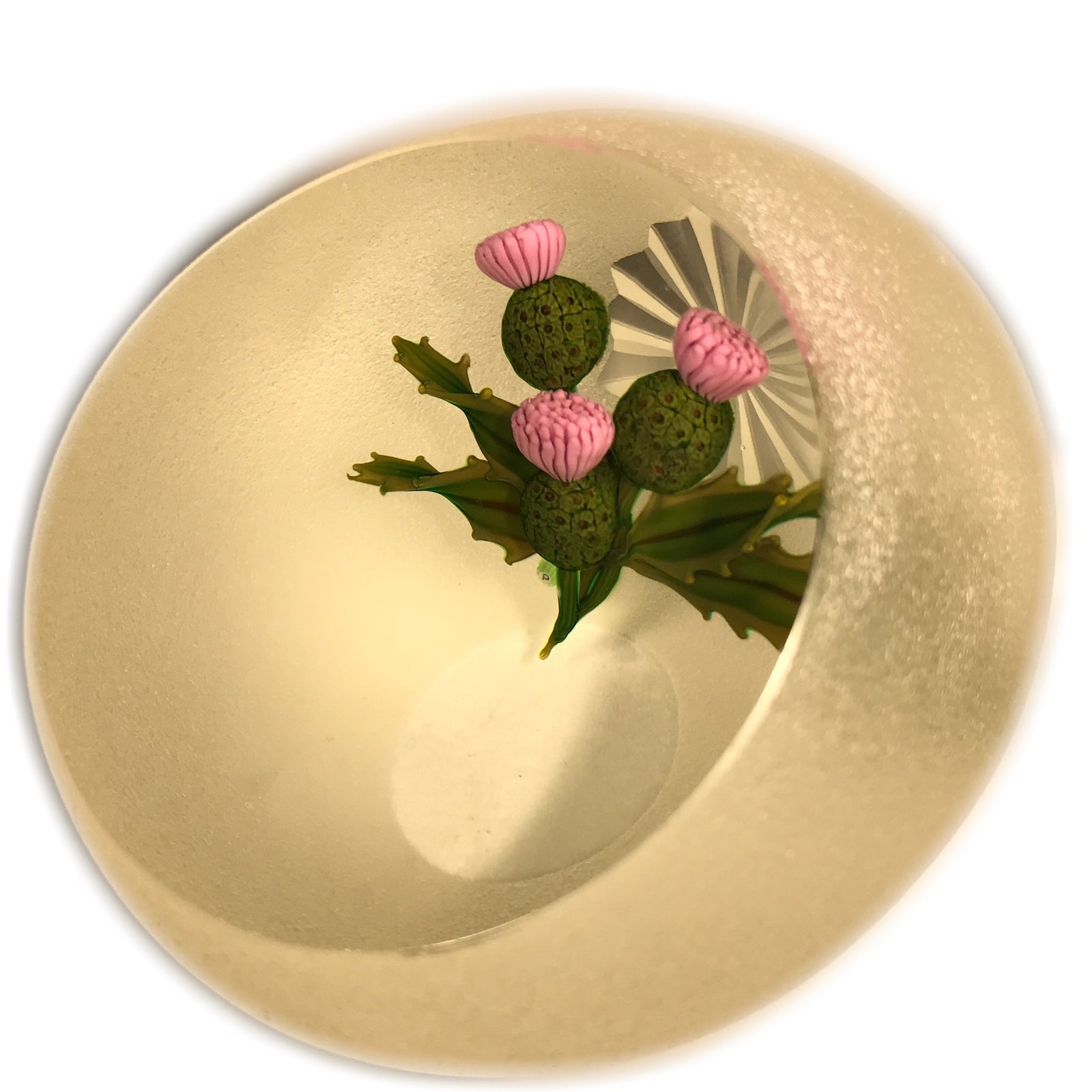 Limited Edition Perthshire Art Glass Paperweight Lampwork Scottish Thistle 1998C