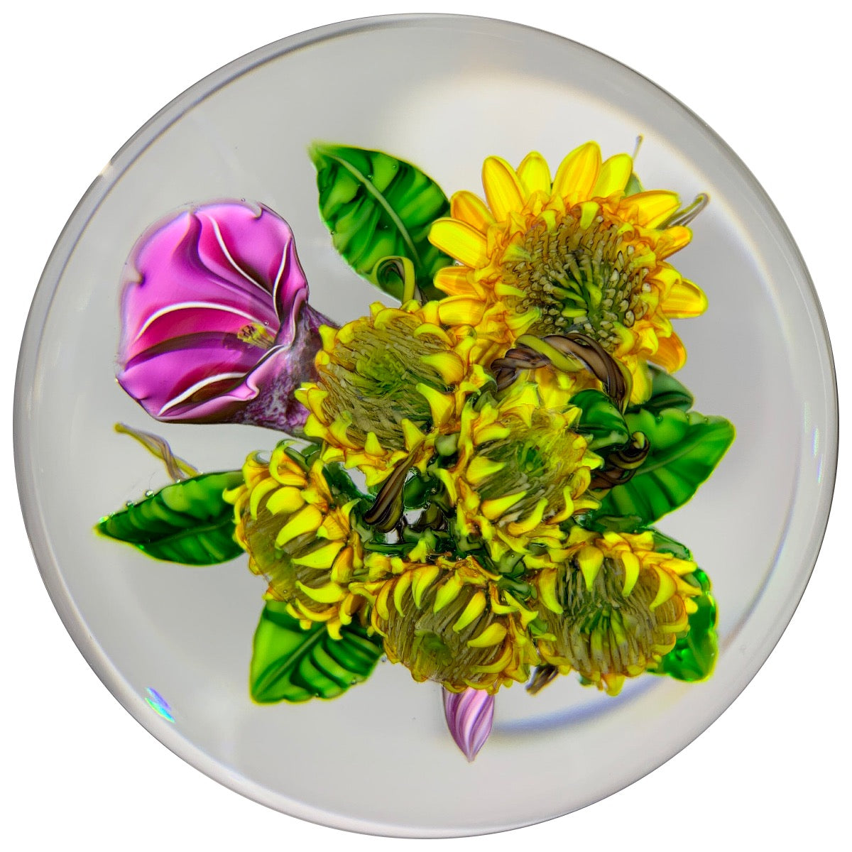 Ken Rosenfeld 2016 Art Glass Paperweight Lampwork Sunflower & Morning Glory  Bouquet