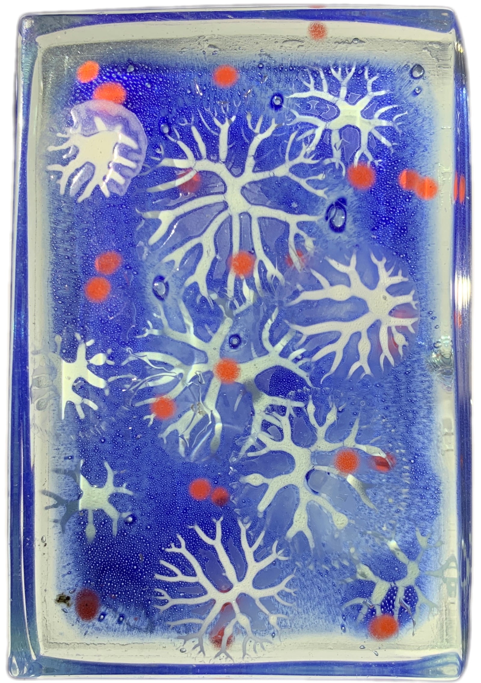 Rare Francis & Michael Higgins Art Glass Fused Slab Paperweight Modern Mid 20th Century Design