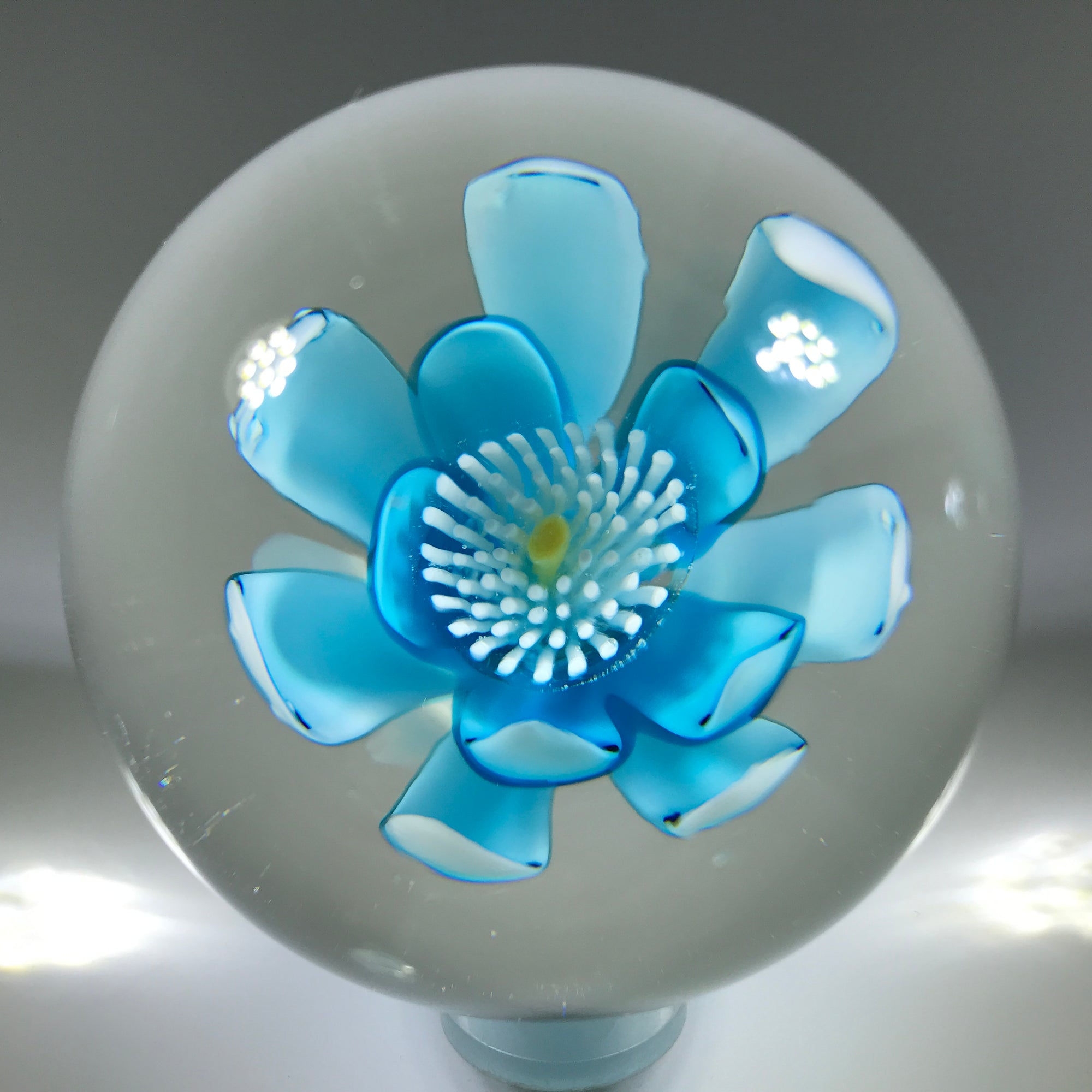 Vintage Murano Art Glass Paperweight Crimp Rose Style Blue Flower & Complex Millefiori
