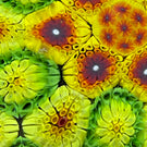 Matt Fimiano 2020 Vibrant Concentric Complex Millefiori on Blue Ground