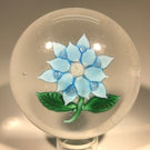 Antique Boston & Sandwich Art Glass Paperweight Lampwork Blue Poinsettia