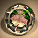 Perthshire Faceted Art Glass Paperweight Lampwork Cacao Flower 1987C LE of 172