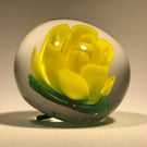 Rare Signed Charles Kaziun Jr Art Glass Paperweight Botton Yellow Crimp Rose