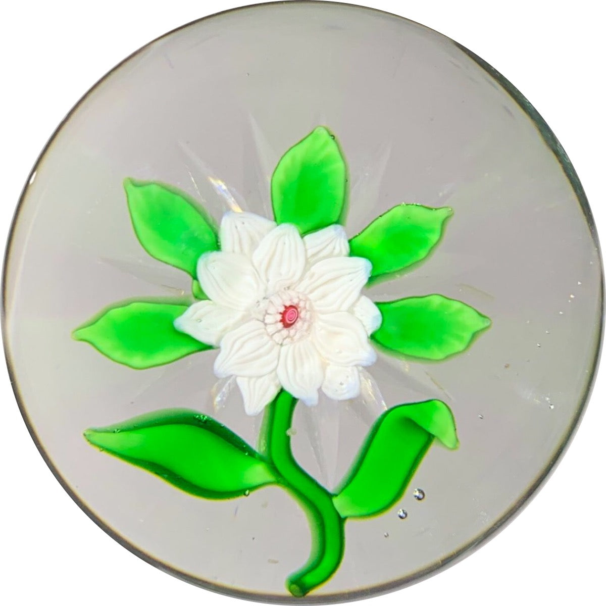 Antique Baccarat Lampwork White Clematis with Star Cut Base