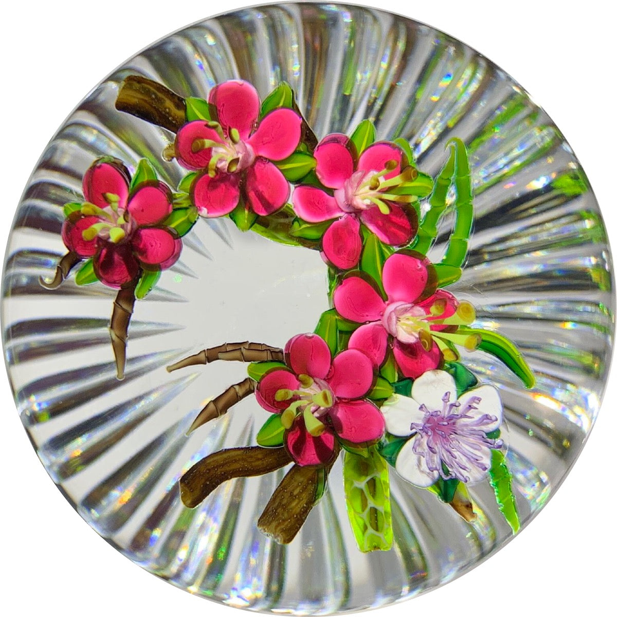 Ken Rosenfeld 2019 Lampwork Apple Blossoms with Fancy Radial Faceted Base