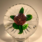 Rare Miniature Baccarat Antique Art Glass Paperweight Lampwork Camomile Pompon
