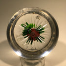 Rare Miniature Baccarat Antique Art Glass Paperweight Lampwork Camomile Pompon