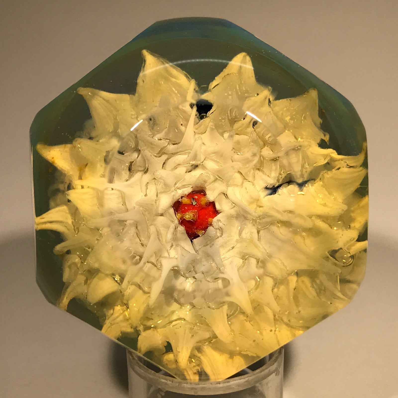 Vintage George Sarfi Art Glass Borosilicate Paperweight White Dahlia on Blue