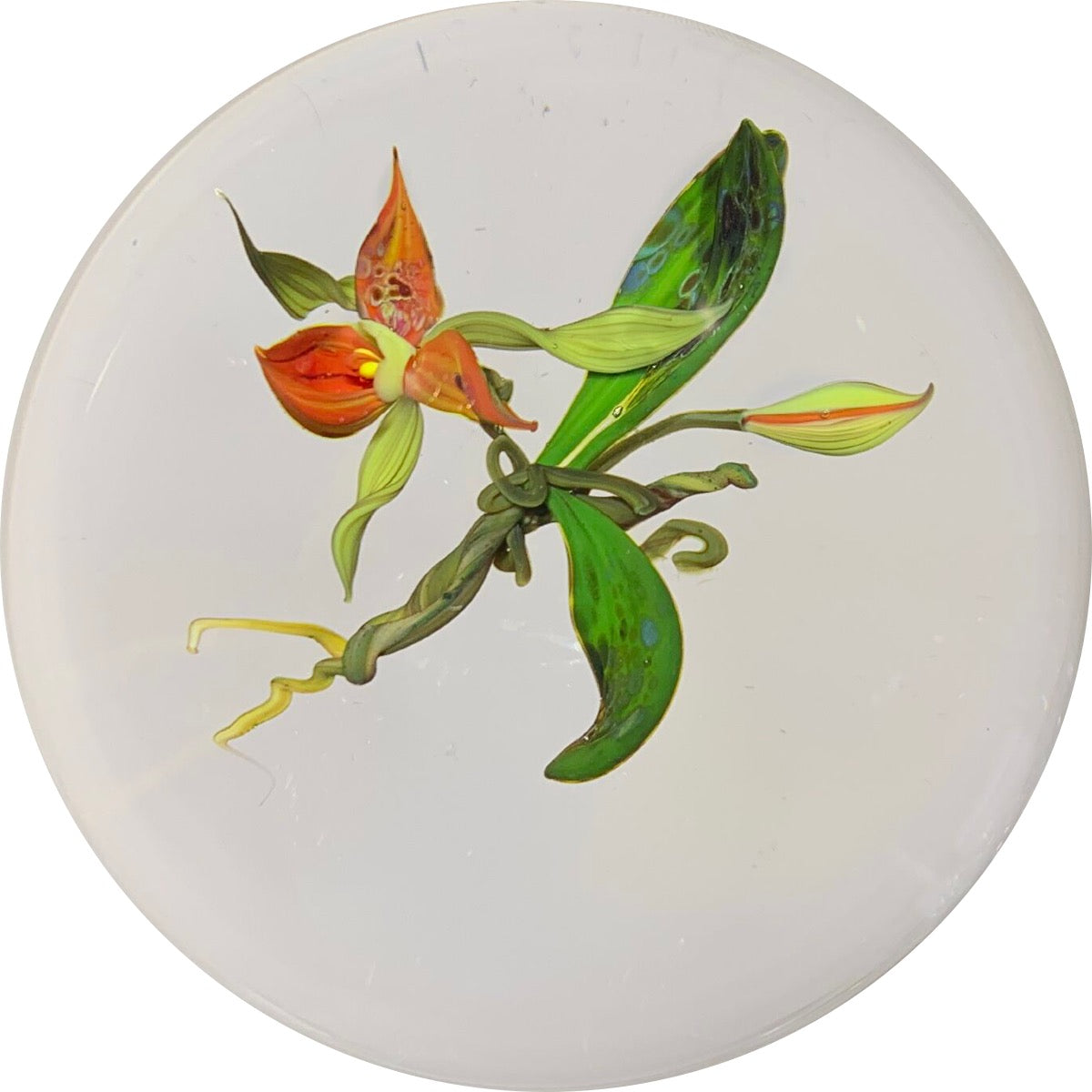 Paul Stankard 1983 Lampwork Orchid on Clear Ground