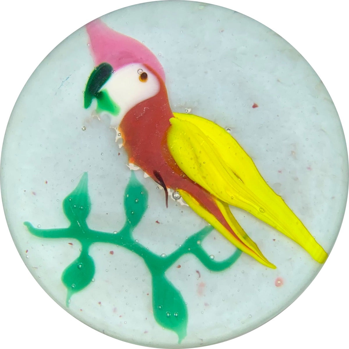 Harold Hacker Lampwork NEGC Inspired Perched Colorful Parrot on Opaque White Ground