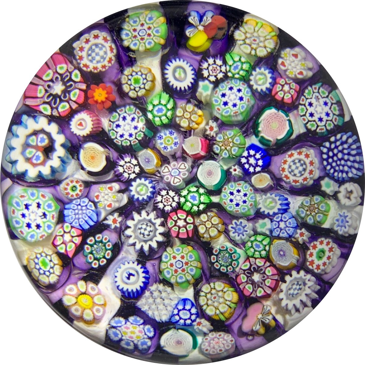 John Deacons 2018 Closepack Complex Millefiori with Silhouettes on Radiated Purple & White Cushion