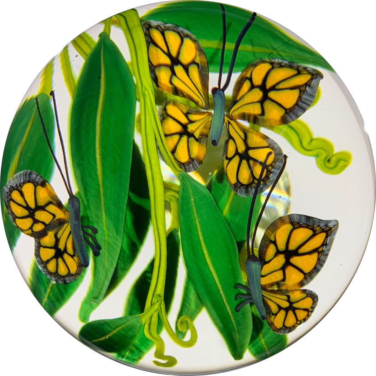 Steven Lundberg Studios 2000 Compound Toirchwork Monarch Butterflies in Eucalyptus