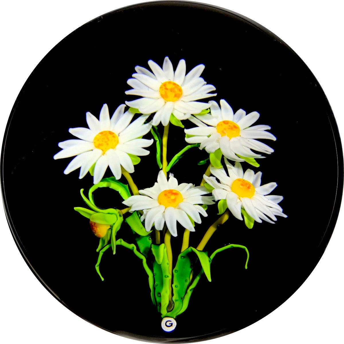 Magnum Randall Grubb Dimensional Lampwork White Daisy Bouquet on Opaque Black Ground