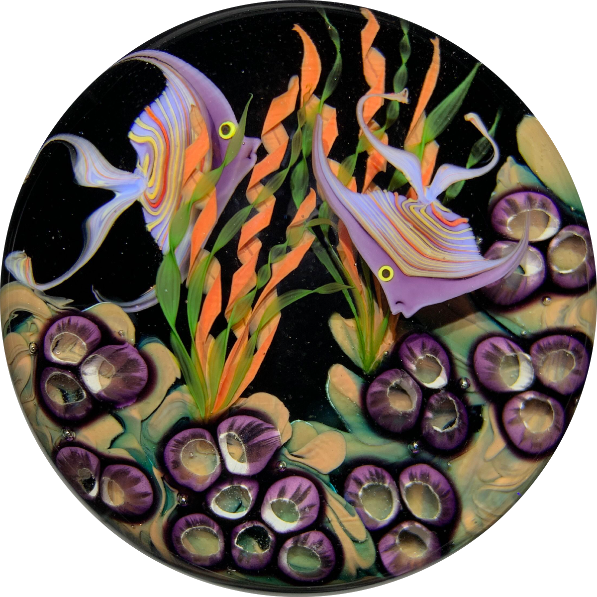 Steven Lundberg 1995 Compound Torchwork Tropical Fish & Coral Reef