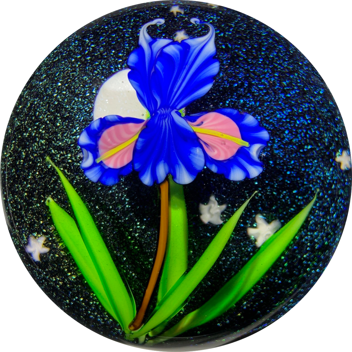 Mayauel Ward 2019 Compound Torchwork Iris in Moonlight on Dichroic Ground