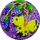 Mayauel Ward 2019 Compound Torchwork Yellow Swallowtail Butterfly with Blue Blossom on Purple Ground