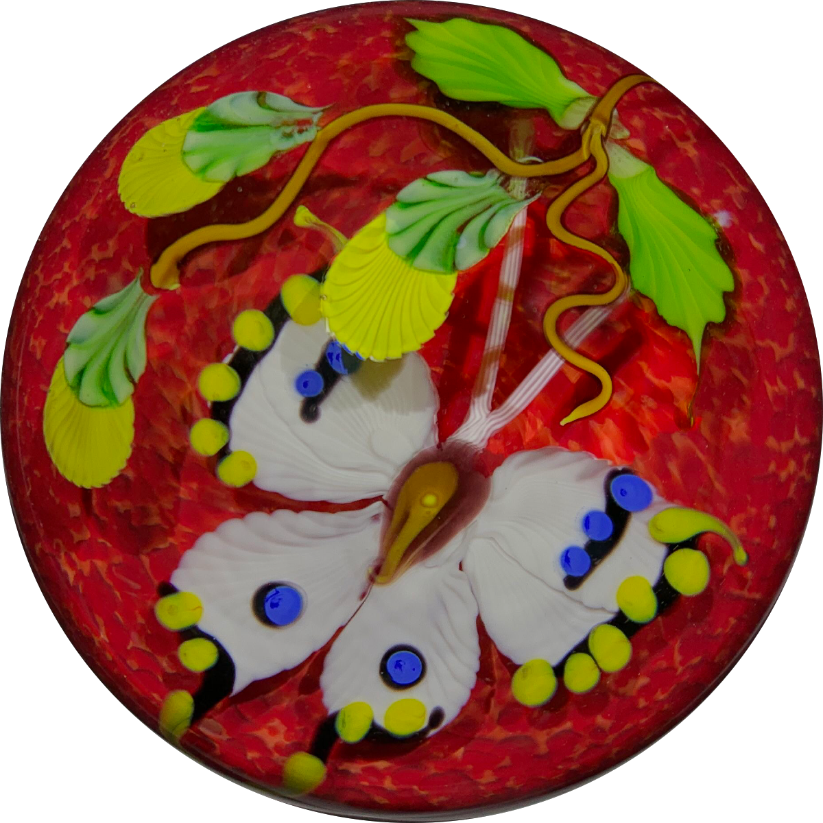 Mayauel Ward 2019 Compound Torchwork White Swallowtail Butterfly with Yellow Blossom on Red Ground