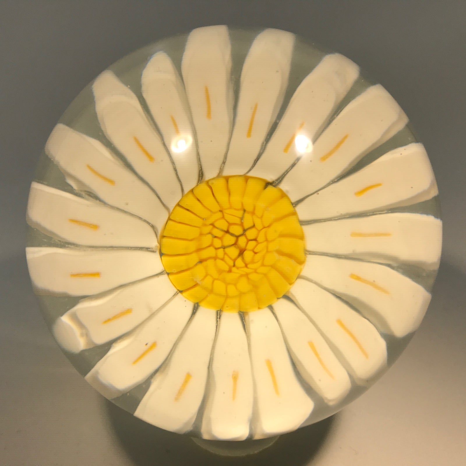 Vintage Murano Art Glass Paperweight Large Millefiori White Daisy Flower