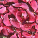 Rare Antique Union Glass Company Art Glass Paperweight Lampwork Red Rose Blossom & Three Buds